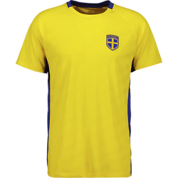 Sverigetröja - landslagströja med namn och supporterartiklar - Stadium.se